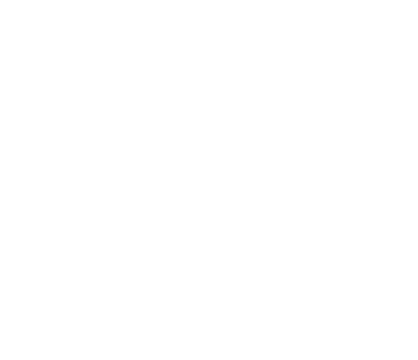 Consorcio Ragnar